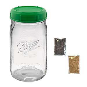 Sprouting Jar, Lid and Seeds