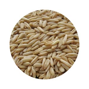 Oat Groats for Cooking & Milling