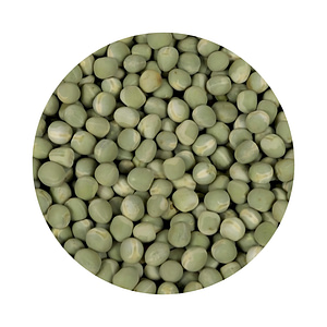 Peas for Microgreens