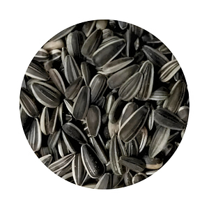 Sunflower Seeds For Sprouts and Shoots
