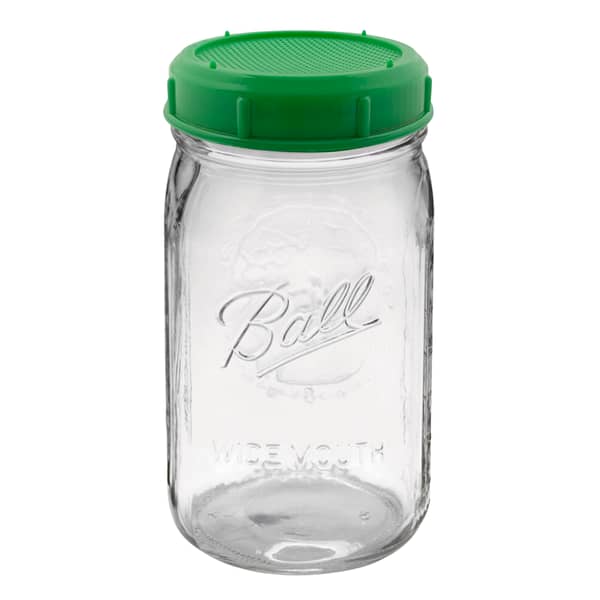 Mason Jar and Sprout Lid