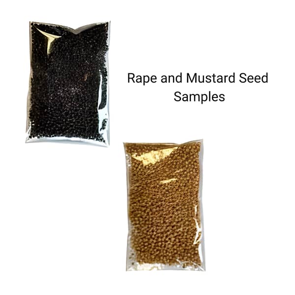 Rape and Mustard seed samples