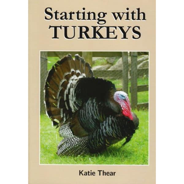 Starting with Turkeys, by Katie Thear